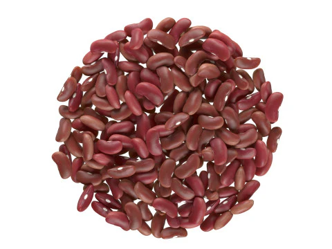 Tigela de feij&atilde;o vermelho Modelo 3D