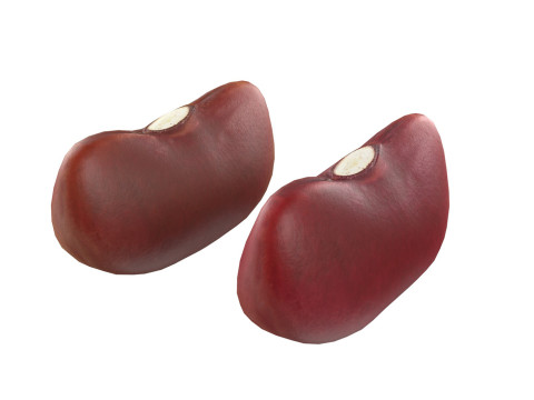 Red kidney beans 3D Модель