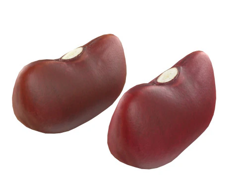 Frijoles rojos Modelo 3D