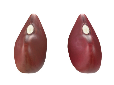 Red kidney beans 3D Model