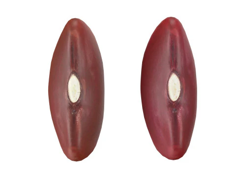 Frijoles rojos Modelo 3D