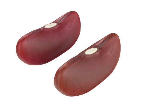 Red kidney beans 3D Model