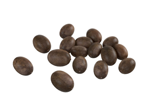Lotus seed black pile 3D Модель