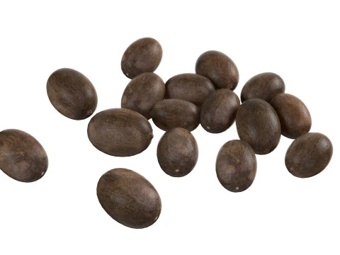 Pilha preta de sementes de l&oacute;tus Modelo 3D