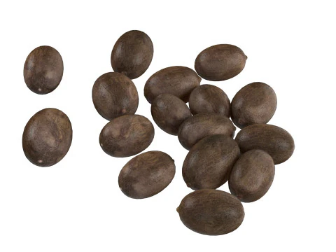 Pilha preta de sementes de l&oacute;tus Modelo 3D