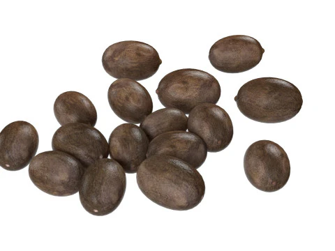 Pilha preta de sementes de l&oacute;tus Modelo 3D