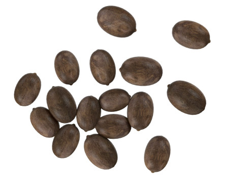 Lotus seed black pile Modèle 3D
