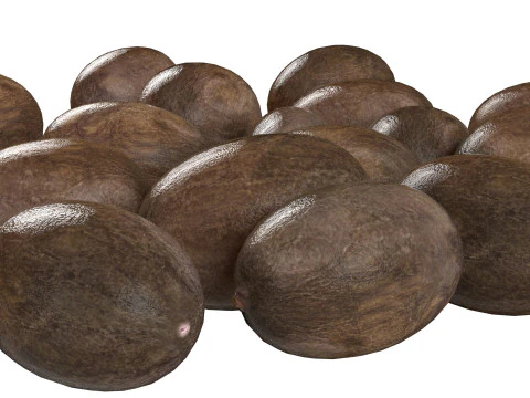 Pilha preta de sementes de l&oacute;tus Modelo 3D