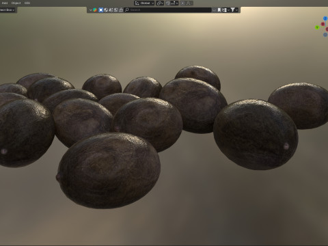 Lotus seed black pile Modèle 3D