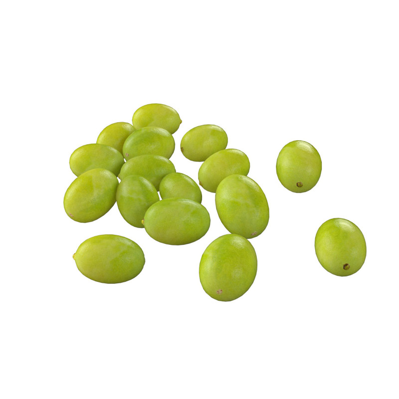 Lotus seed green pile Modelo 3D .c4d .max .obj .3ds .fbx .stl .blend