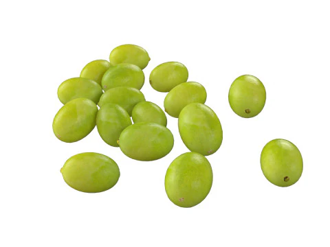 연꽃씨 녹색 더미 3D 모델