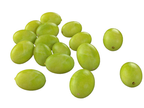 Lotus seed green pile Modelo 3D