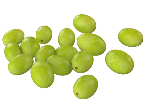 Pilha verde de sementes de l&oacute;tus Modelo 3D