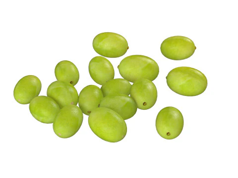 Pilha verde de sementes de l&oacute;tus Modelo 3D