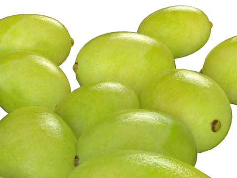 Pilha verde de sementes de l&oacute;tus Modelo 3D