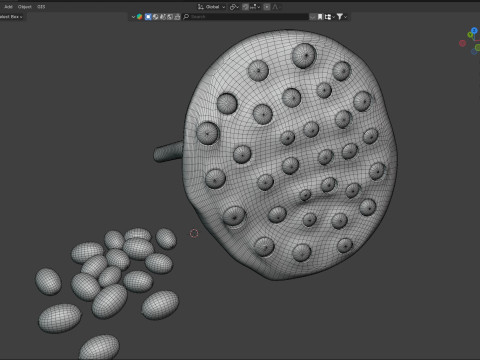 Lotus seed pod 3Dモデル