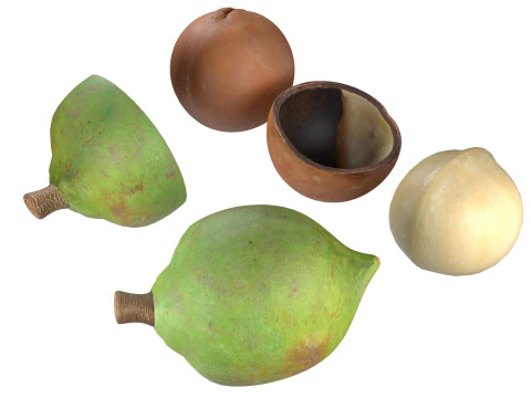 Cole&ccedil;&atilde;o de nozes de macad&acirc;mia Modelo 3D