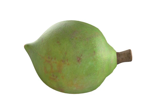 Cole&ccedil;&atilde;o de nozes de macad&acirc;mia Modelo 3D