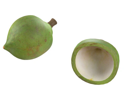 Cole&ccedil;&atilde;o de nozes de macad&acirc;mia Modelo 3D