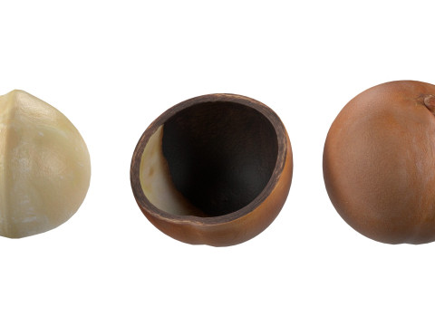 Macadamia nut collection 3D Модель