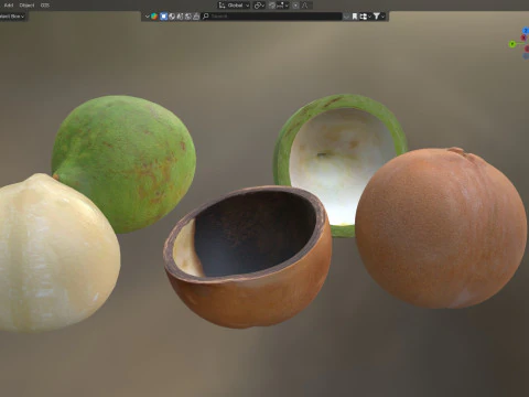 Cole&ccedil;&atilde;o de nozes de macad&acirc;mia Modelo 3D