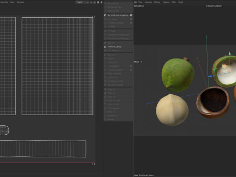 Macadamia nut collection 3D Модель