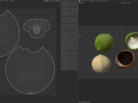 Cole&ccedil;&atilde;o de nozes de macad&acirc;mia Modelo 3D
