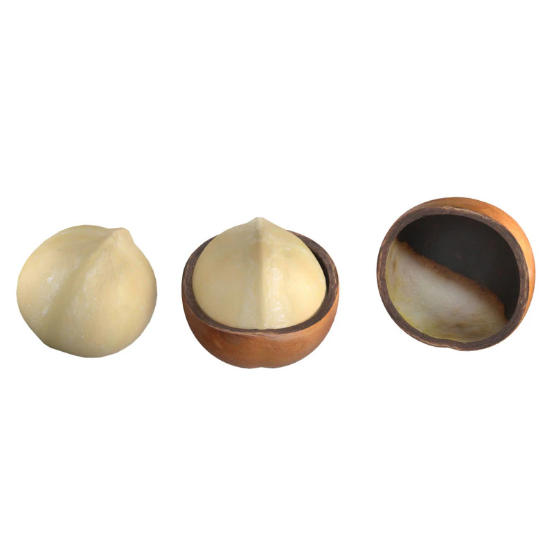 Macadamia nut collection 3D Model .c4d .max .obj .3ds .fbx .stl .blend 