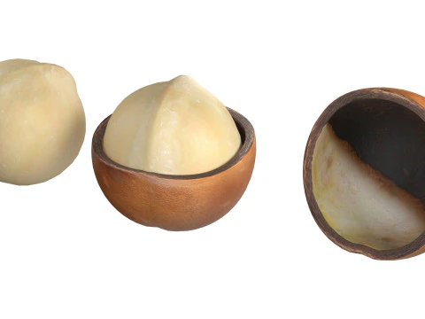 Macadamia nut collection 3D Model