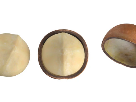 Macadamia nut collection 3D Model