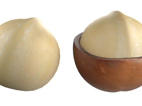 Macadamia nut collection Modelo 3D
