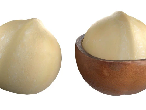 Macadamia nut collection 3D Model