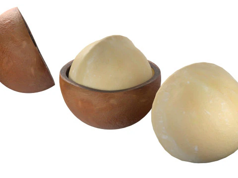 Macadamia nut collection 3D Model