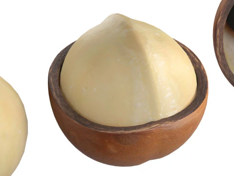 Macadamia nut collection 3D Model