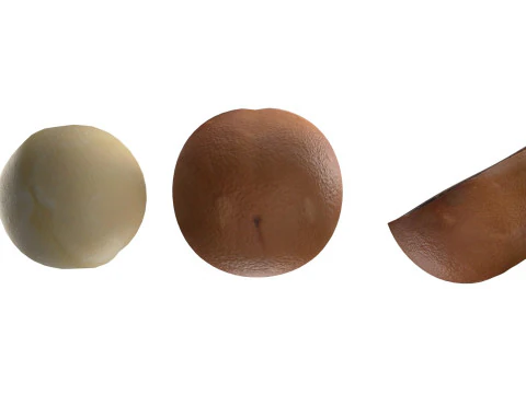 Macadamia nut collection 3D Model