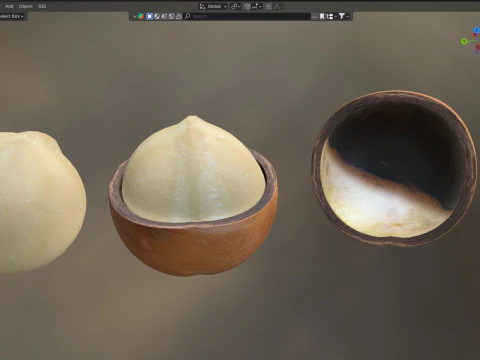 Macadamia nut collection 3D Model