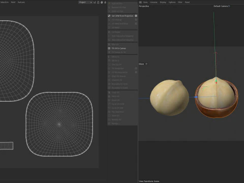 Macadamia nut collection 3D Model