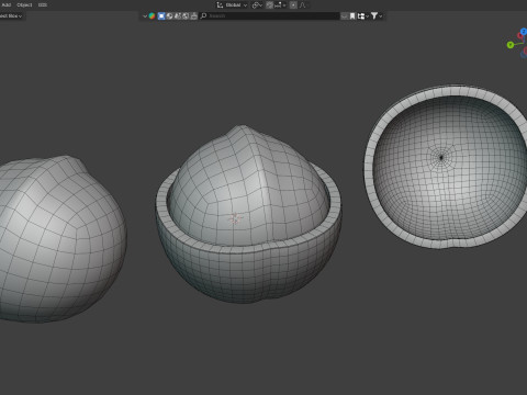 Macadamia nut collection Modelo 3D