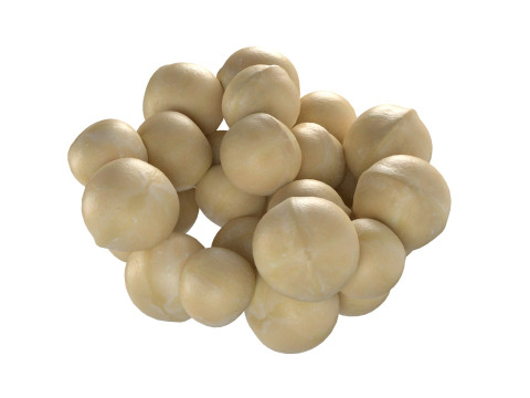 Macadamia nut kernel bowl Modello 3D