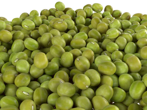 Tigela de feij&atilde;o mungo Modelo 3D