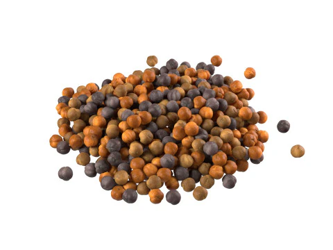 Mustard seed pile 3D Model