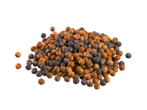 Mustard seed pile 3D-Modell