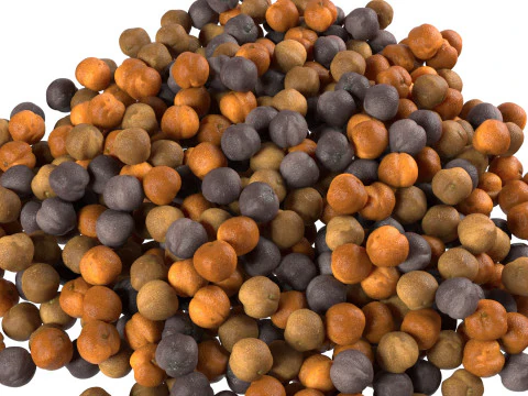 Mustard seed pile 3D Model