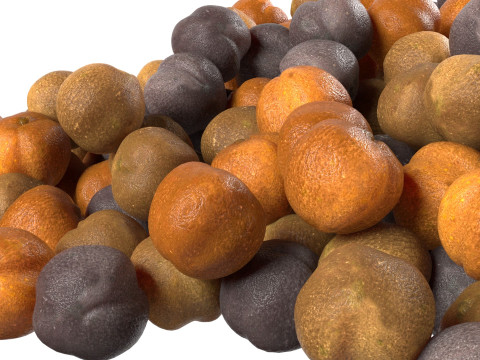 Mustard seed pile 3D-Modell