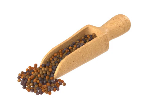 겨자씨 국자 국자 3D 모델