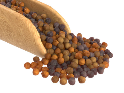 Mustard seed scoop Scoop Modelo 3D