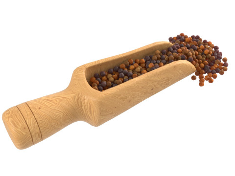 Mustard seed scoop Scoop Modelo 3D