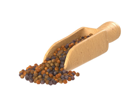 Mustard seed scoop Scoop Modelo 3D