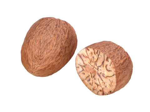 Nutmeg 3D मॉडल