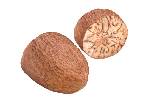 Nutmeg 3D Model